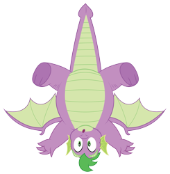 Size: 5133x5228 | Tagged: safe, artist:aleximusprime, imported from derpibooru, spike, dragon, :o, adult, adult spike, chubby, fat, fat spike, looking at you, male, older, older spike, open mouth, simple background, solo, transparent background, vector, winged spike, wings