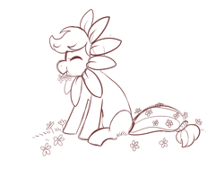 Size: 1600x1200 | Tagged: safe, anonymous artist, imported from derpibooru, applejack, earth pony, pony, /mlp/, cute, drawthread, eating, eating flower, flower, flower costume, herbivore, horses doing horse things, jackabetes, monochrome, simple background, sketch, white background