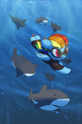 Size: 1000x1493 | Tagged: safe, artist:vultraz, imported from derpibooru, part of a set, rainbow dash, pegasus, pony, shark, /mlp/, diving, drawthread, female, requested art, scuba, scuba diving, scuba gear, solo, swimming, underwater, wetsuit