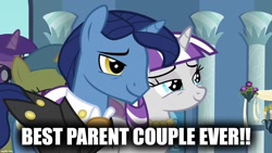 Size: 1280x720 | Tagged: safe, edit, edited screencap, imported from derpibooru, screencap, night light, twilight velvet, a canterlot wedding, caption, female, image macro, male, nightvelvet, shipping, straight, text