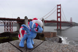 Size: 6000x4000 | Tagged: safe, artist:meplushyou, artist:steam-loco, imported from derpibooru, oc, oc:steam loco, pegasus, pony, bridge, golden gate bridge, irl, pegasus oc, photo, photography, plushie, san francisco, san franciscolt, solo, spread wings, wings