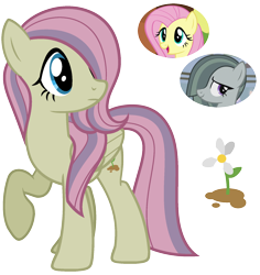 Size: 1700x1800 | Tagged: safe, artist:cherrycandi, imported from derpibooru, fluttershy, marble pie, oc, oc:mallow, pegasus, pony, base used, cutie mark, female, flower, fusion, fusion:marbleshy, lesbian, magical lesbian spawn, marbleshy, mare, offspring, parent:fluttershy, parent:marble pie, parents:marbleshy, raised hoof, shipping, simple background, transparent background