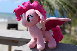 Size: 5184x3456 | Tagged: safe, imported from derpibooru, photographer:thegreatmewtwo, pinkie pie, bat pony, pony, bat ponified, beach, female, pinkiebat, race swap, solo