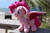 Size: 5184x3456 | Tagged: safe, imported from derpibooru, photographer:thegreatmewtwo, pinkie pie, bat pony, pony, bat ponified, beach, female, pinkiebat, race swap, solo