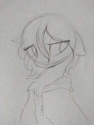 Size: 960x1280 | Tagged: safe, artist:apieceofsky3, artist:apple_nettle, artist:shuryashish, imported from derpibooru, oc, oc only, pegasus, pony, chest fluff, clothes, hoodie, sketch, solo, traditional art