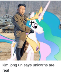 Size: 500x610 | Tagged: safe, edit, imported from derpibooru, princess celestia, alicorn, human, humans riding ponies, kim jong-un, north korea, politics, riding, riding on back, shitposting, wat, wtf