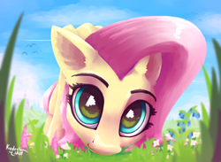 Size: 3000x2200 | Tagged: safe, artist:kridershot, imported from derpibooru, fluttershy, pegasus, pony, cute, ear fluff, female, flower, grass, high res, looking at you, low angle, mare, shyabetes, smiling, solo, weapons-grade cute, worm's eye view