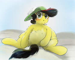 Size: 6964x5600 | Tagged: safe, artist:fiyawerks, imported from derpibooru, oc, oc only, oc:fiya, earth pony, pony, blushing, chest fluff, chubby, cute, earth pony oc, fluffy, hat, looking at you, male, sitting, solo, stallion