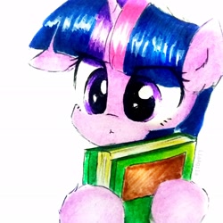 Size: 2322x2322 | Tagged: safe, artist:liaaqila, imported from derpibooru, twilight sparkle, pony, adorkable, book, bookhorse, cute, daaaaaaaaaaaw, dork, egghead, female, floppy ears, high res, possessive, solo, that pony sure does love books, traditional art, twiabetes