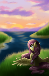 Size: 1500x2320 | Tagged: safe, artist:crystalbay, imported from derpibooru, fluttershy, bird, pegasus, pony, admiring, awe, beautiful, braid, braided, chest fluff, cloud, cute, fanart, female, flower, flower in hair, grass, island, lake, looking, looking at something, looking away, looking up, mare, ocean, outdoors, pretty, raised hoof, reflection, relaxed, scenery, seashore, shore, sitting, sky, solo, spread wings, spreading, sunset, water, wave, wings