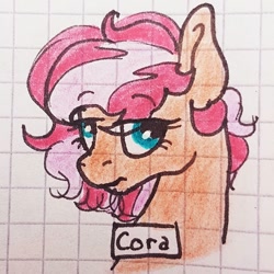 Size: 1080x1080 | Tagged: safe, artist:galaxy.in.mind, imported from derpibooru, oc, oc only, oc:cora, earth pony, pony, bust, earth pony oc, female, frown, graph paper, mare, traditional art