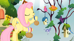 Size: 1246x701 | Tagged: safe, imported from derpibooru, screencap, constance, fluttershy, bird, blue jay, filli vanilli, bird house, birdseed, chickadee (bird), cute, female, fluttershy's cottage, mare, nest, purple martin, shyabetes, tree