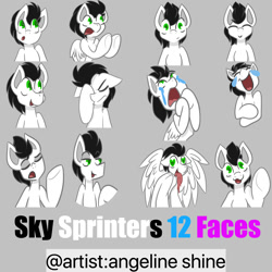 Size: 2000x2000 | Tagged: safe, artist:angeline shine, artist:skysprinter, edit, imported from derpibooru, oc, oc only, oc:skysprinter, pony, crying, drool, expressions, face, facehoof, happy, hooves, love, smiling, smirk, smug, stare