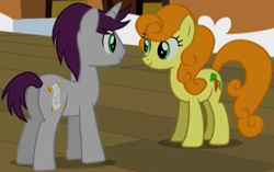 Size: 420x263 | Tagged: safe, imported from derpibooru, screencap, carrot top, golden harvest, written script, earth pony, pony, unicorn, the last roundup, butt, duo, female, male, mare, plot, stallion