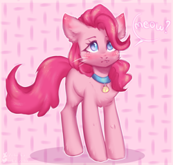 Size: 2092x2000 | Tagged: safe, artist:zefirka, imported from derpibooru, pinkie pie, cat, bell, bell collar, cat bell, catified, collar, meow, pinkie cat, species swap, talking to viewer