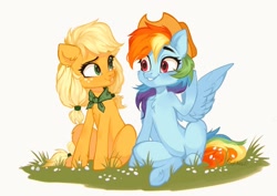 Size: 1024x723 | Tagged: safe, artist:sofiko-ko, imported from derpibooru, applejack, rainbow dash, earth pony, pegasus, pony, accessory swap, appledash, chest fluff, cute, dashabetes, duo, female, grass, jackabetes, lesbian, looking at each other, mare, shipping, simple background, sitting, smiling, white background