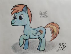 Size: 856x647 | Tagged: safe, artist:matyas451, imported from derpibooru, oc, oc only, oc:sweet cookie, pony, paper, solo, traditional art