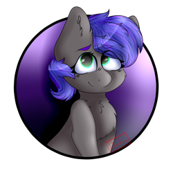 Size: 1280x1280 | Tagged: safe, artist:diantrex, imported from derpibooru, oc, oc only, oc:mae, earth pony, pony, circle, halfbody, happy, purple mane, smiling, solo