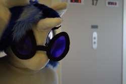 Size: 2048x1356 | Tagged: safe, artist:luna_b_, imported from derpibooru, dj pon-3, vinyl scratch, human, clothes, cosplay, costume, fursuit, irl, irl human, japan, photo, solo, vinyl's glasses