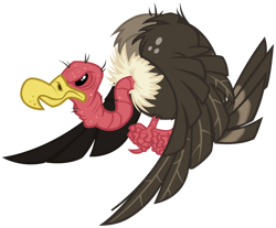 Size: 1024x848 | Tagged: safe, artist:andoanimalia, imported from derpibooru, bird, vulture, the ticket master, simple background, transparent background, vector