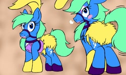 Size: 1280x768 | Tagged: safe, artist:dashingjack, imported from derpibooru, oc, oc only, oc:brainstorm, pony, blushing, bridle, crossdressing, looking at you, showgirl, showpony, solo, tack