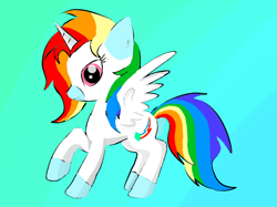 Size: 630x472 | Tagged: artist needed, source needed, useless source url, safe, artist:scribbles151, imported from derpibooru, oc, alicorn, alicorn oc, coat markings, horn, looking at you, multicolored hair, rainbow hair, simple background, socks (coat marking), socks (coat markings), wings