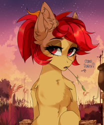 Size: 2000x2400 | Tagged: safe, artist:butterbit, imported from derpibooru, oc, oc only, oc:primepeak, pegasus, pony, chest fluff, commission, dialogue, ear fluff, evening, eyeliner, female, lidded eyes, looking at you, makeup, mare, scenery, sitting, solo, straw in mouth, ych result