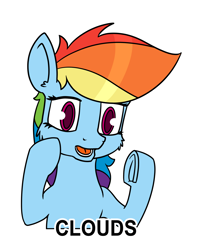 Size: 1200x1487 | Tagged: safe, artist:dacaoo, imported from derpibooru, rainbow dash, pony, ancient aliens, giorgio a. tsoukalos, meme, simple background, solo, text, underhoof, white background