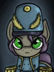 Size: 3000x4000 | Tagged: safe, artist:leo the pone, imported from derpibooru, oc, oc only, oc:general fine beam, pony, balefire blues, bust, clothes, green eyes, hearts of iron 4, male, portrait, solo, uniform