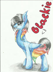 Size: 1700x2338 | Tagged: safe, artist:careness, imported from derpibooru, oc, oc only, oc:blackie, pegasus, pony, pegasus oc, solo, traditional art, wings