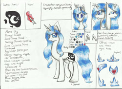 Size: 2338x1700 | Tagged: safe, artist:careness, imported from derpibooru, oc, oc only, oc:princess sky, pony, unicorn, horn, reference sheet, solo, traditional art, unicorn oc