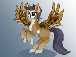 Size: 1600x1200 | Tagged: safe, artist:inanimatelotus, imported from derpibooru, oc, oc only, bird, owl, owl pony, pegasus, pony, feral, gradient background, hind legs, owl pegasus, rearing, simple background, solo, spread wings, wings