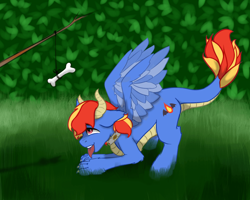 Size: 960x768 | Tagged: safe, artist:dark_nidus, imported from derpibooru, oc, oc only, oc:draco flames, original species, pony, behaving like a dog, bone, carrot on a stick, collar, commission, cutie mark, outdoors, solo, tongue out, wings, ych result