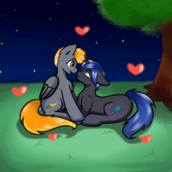 Size: 960x960 | Tagged: safe, artist:dark_nidus, imported from derpibooru, oc, oc only, pegasus, pony, commission, love, night, night sky, oc x oc, outdoors, shipping, sky, ych result