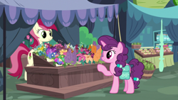 Size: 1920x1080 | Tagged: safe, imported from derpibooru, screencap, roseluck, sugar belle, the big mac question, bag, female, flower, flower shop, mare, saddle bag