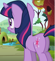 Size: 518x576 | Tagged: safe, imported from derpibooru, screencap, twilight sparkle, pony, unicorn, swarm of the century, butt, cropped, female, mare, plot, solo, twibutt, unicorn twilight