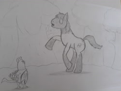 Size: 4608x3456 | Tagged: safe, artist:crainn, imported from derpibooru, oc, cockatrice, earth pony, pony, forest, petrification, traditional art