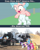 Size: 640x800 | Tagged: safe, edit, editor:tngjstn, imported from derpibooru, screencap, applejack, cozy glow, fluttershy, pinkie pie, rainbow dash, rarity, twilight sparkle, alicorn, earth pony, pegasus, pony, unicorn, the ending of the end, abuse, bandit, bondage, caption, cozy deserved this, cozybuse, execution, female, filly, grimderp, image macro, imminent death, irl, mane six, mare, meme, op is a duck, op is right, op is trying to start shit, op is wrong, petrification, photo, ponies in real life, punish the villain, punishment, rope, rope bondage, smiling, text, tree, twilight sparkle (alicorn), wood, woodchipper