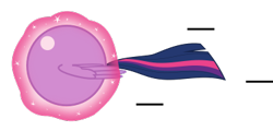 Size: 375x180 | Tagged: safe, artist:mega-poneo, imported from derpibooru, twilight sparkle, alicorn, ambiguous gender, ball, crossover, levitation, magic, motion lines, rolling, self-levitation, simple background, solo, sonic the hedgehog (series), spin dash, spread wings, telekinesis, transparent background, twiball, twilight sparkle (alicorn), wings