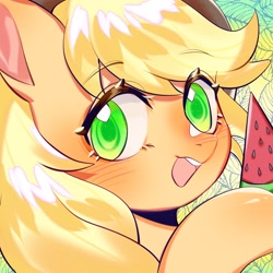 Size: 1754x1754 | Tagged: safe, artist:royal, imported from derpibooru, part of a set, applejack, earth pony, pony, blushing, bust, colored pupils, cute, female, food, jackabetes, looking at you, mare, open mouth, portrait, solo, summer, watermelon