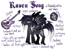 Size: 1024x768 | Tagged: safe, artist:azure-art-wave, imported from derpibooru, oc, oc only, oc:raven song, pegasus, pony, guitar, male, musical instrument, reference sheet, solo, stallion
