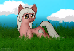 Size: 3096x2160 | Tagged: safe, artist:darbedarmoc, imported from derpibooru, oc, oc only, oc:patty, earth pony, pony, art trade, chest fluff, cloud, ear fluff, grass, looking at you, sky, solo