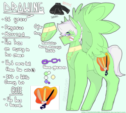 Size: 2589x2316 | Tagged: safe, artist:shinningblossom12, imported from derpibooru, oc, oc only, oc:drawing, pegasus, pony, blushing, choker, clothes, glasses, jewelry, male, necklace, pegasus oc, reference sheet, solo, stallion, wings