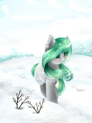 Size: 1500x2000 | Tagged: safe, artist:intfighter, imported from derpibooru, oc, oc only, earth pony, pony, earth pony oc, outdoors, snow, solo