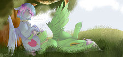 Size: 2560x1192 | Tagged: safe, artist:shinningblossom12, imported from derpibooru, oc, oc:drawing, oc:shinning blossom, pegasus, pony, blushing, choker, dialogue, female, jewelry, male, mare, necklace, oc x oc, outdoors, pegasus oc, shipping, stallion, straight, tree, wings