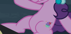 Size: 756x364 | Tagged: safe, imported from derpibooru, screencap, sugar belle, pony, hard to say anything, belly, cropped, female, pictures of bellies, sitting, solo