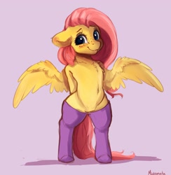 Size: 2815x2887 | Tagged: safe, artist:miokomata, imported from derpibooru, fluttershy, pegasus, pony, semi-anthro, arm behind back, belly button, bipedal, blushing, chest fluff, clothes, cute, female, floppy ears, freckles, freckleshy, high res, hooves behind back, looking at you, purple background, shyabetes, simple background, socks, solo, spread wings, wings