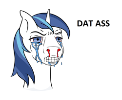 Size: 1244x1024 | Tagged: safe, edit, imported from derpibooru, shining armor, unicorn, blood, crying, horn, meme, short horn, the ass was fat, wojak