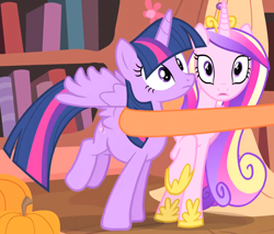 Size: 1760x1497 | Tagged: safe, imported from derpibooru, screencap, princess cadance, twilight sparkle, alicorn, pony, three's a crowd, cropped, duo, female, golden oaks library, silk, sisters-in-law, twilight sparkle (alicorn)