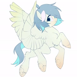 Size: 2048x2048 | Tagged: safe, artist:amo, imported from derpibooru, oc, oc only, pegasus, pony, simple background, solo, underhoof, unshorn fetlocks, white background